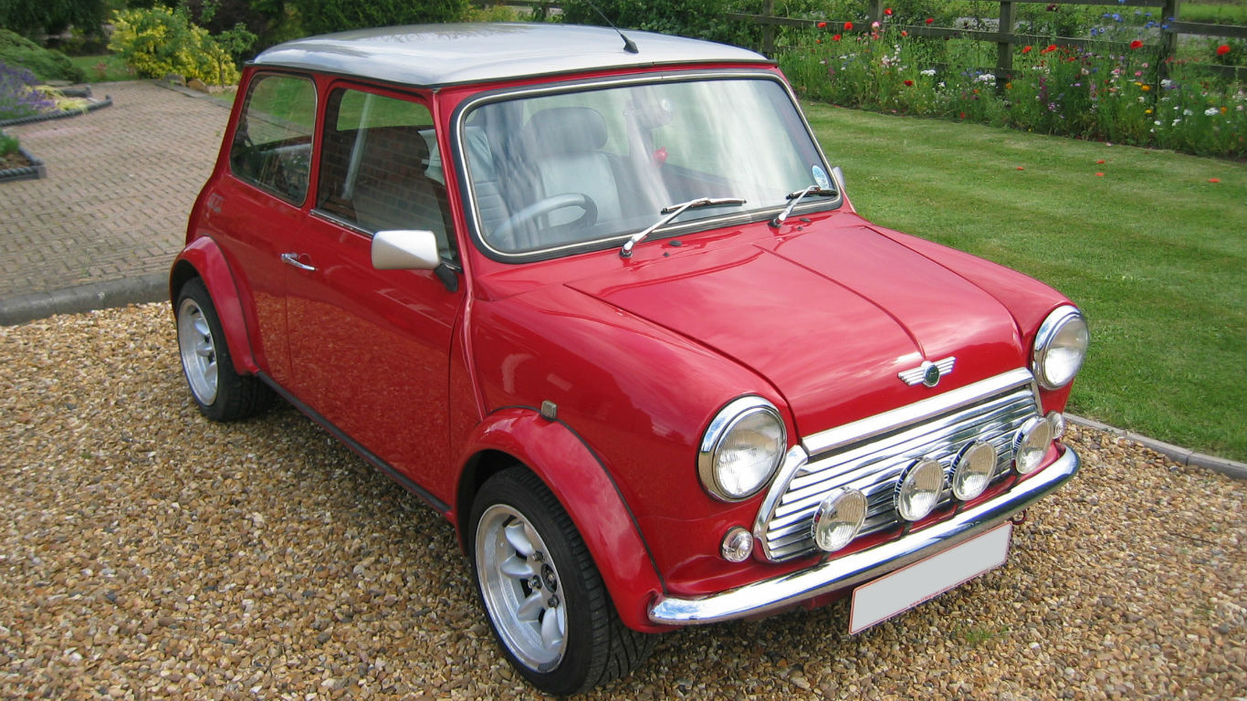 Rover Mini